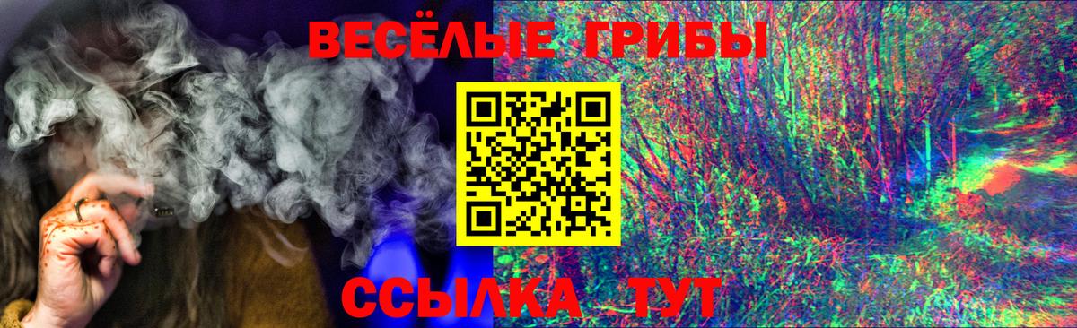Галлюциногенные грибы Psilocybe Ялуторовск